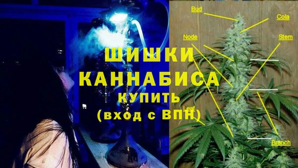 дурь Саяногорск